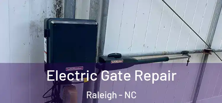  Electric Gate Repair Raleigh - NC