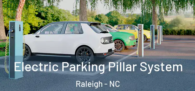  Electric Parking Pillar System Raleigh - NC