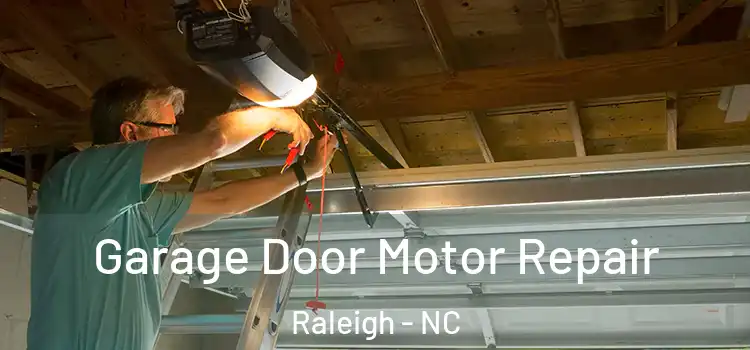  Garage Door Motor Repair Raleigh - NC