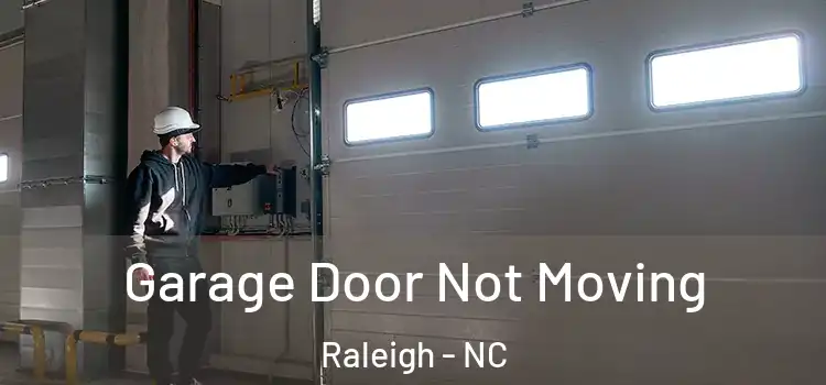  Garage Door Not Moving Raleigh - NC