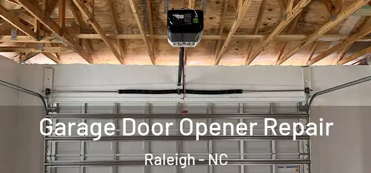  Garage Door Opener Repair Raleigh - NC