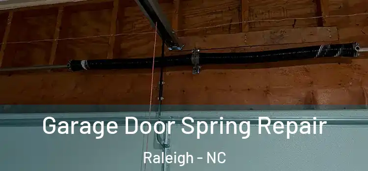  Garage Door Spring Repair Raleigh - NC