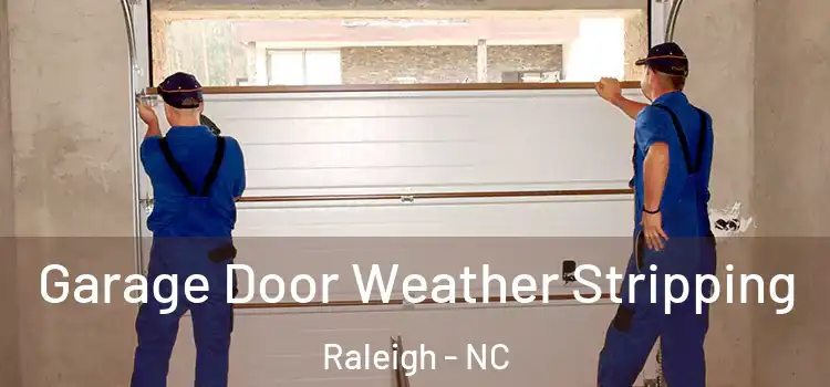  Garage Door Weather Stripping Raleigh - NC
