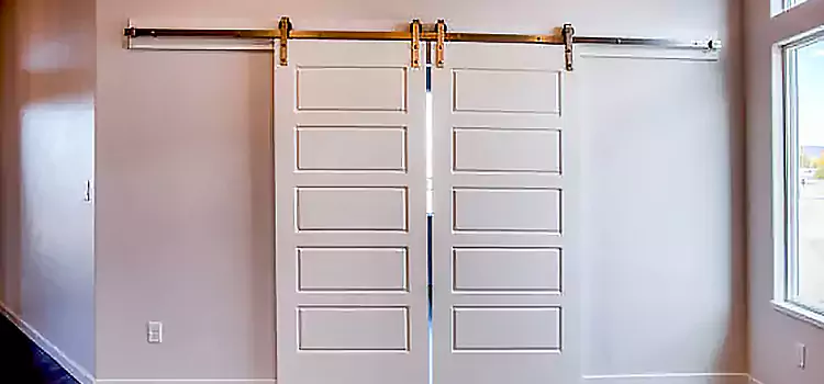 Glass Barn Door with Installation Hardware Kit Raleigh