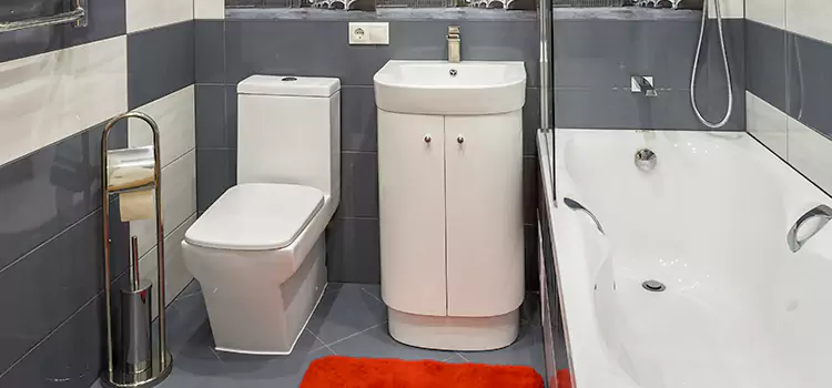 Hansgrohe Shaving Mirror Raleigh